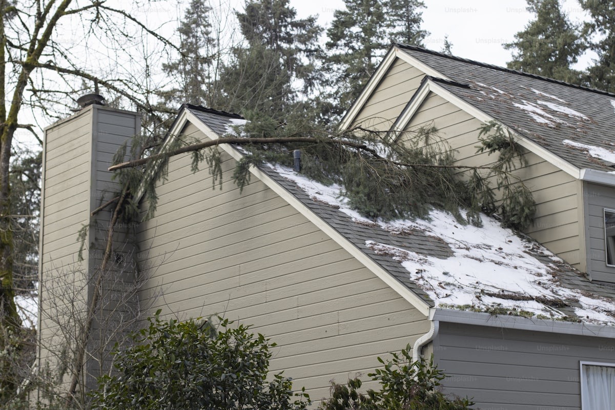 Storm-damaged residential roof with fallen tree branches